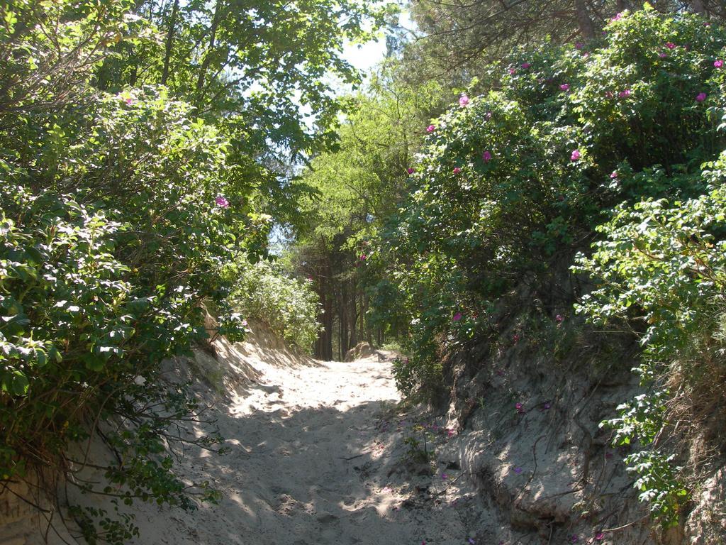 Osrodek Wypoczynkowy Amber Βίλα Kąty Rybackie Εξωτερικό φωτογραφία