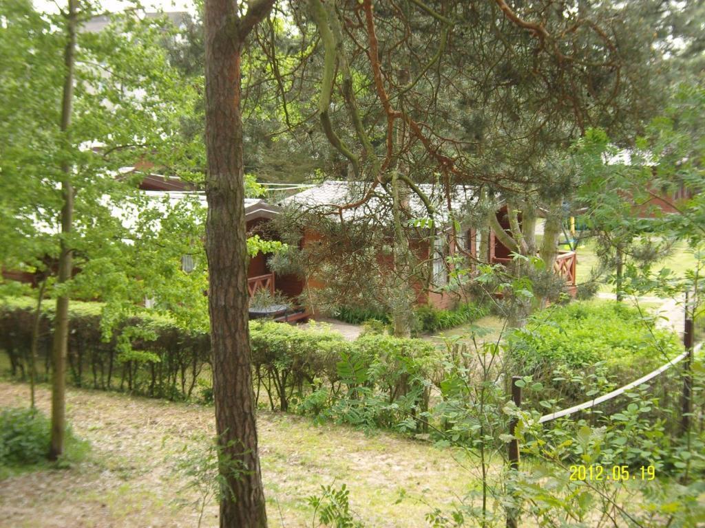 Osrodek Wypoczynkowy Amber Βίλα Kąty Rybackie Εξωτερικό φωτογραφία