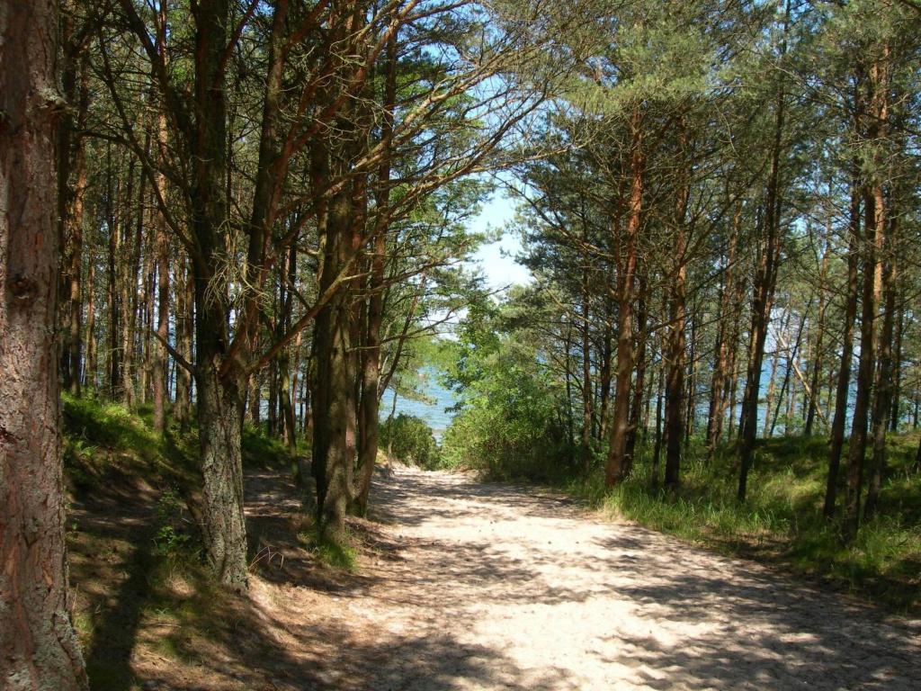 Osrodek Wypoczynkowy Amber Βίλα Kąty Rybackie Εξωτερικό φωτογραφία